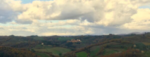 trufflenbed - bed and breakfast and supper club - Siena, Toscana, Italia