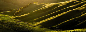 trufflenbed - bed and breakfast and supper club - Siena, Toscana, Italia