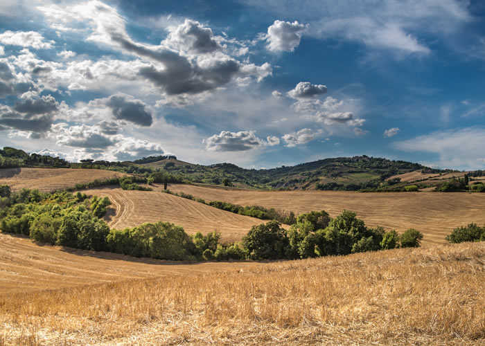 trufflenbed - bed and breakfast and supper club - Siena, Toscana, Italia