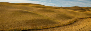 trufflenbed - bed and breakfast and supper club - Siena, Toscana, Italia