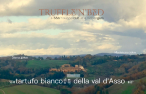 trufflenbed - bed and breakfast and supper club - Siena, Toscana, Italia