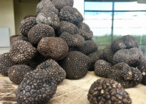 trufflenbed - bed and breakfast and supper club - Siena, Toscana, Italia