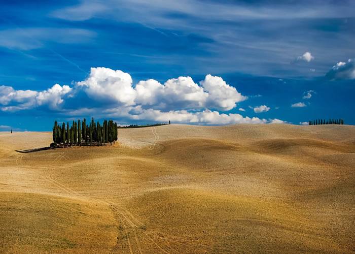 siena-tuscany trufflenbed - bed and breakfast and supper club - Siena, Toscana, Italia