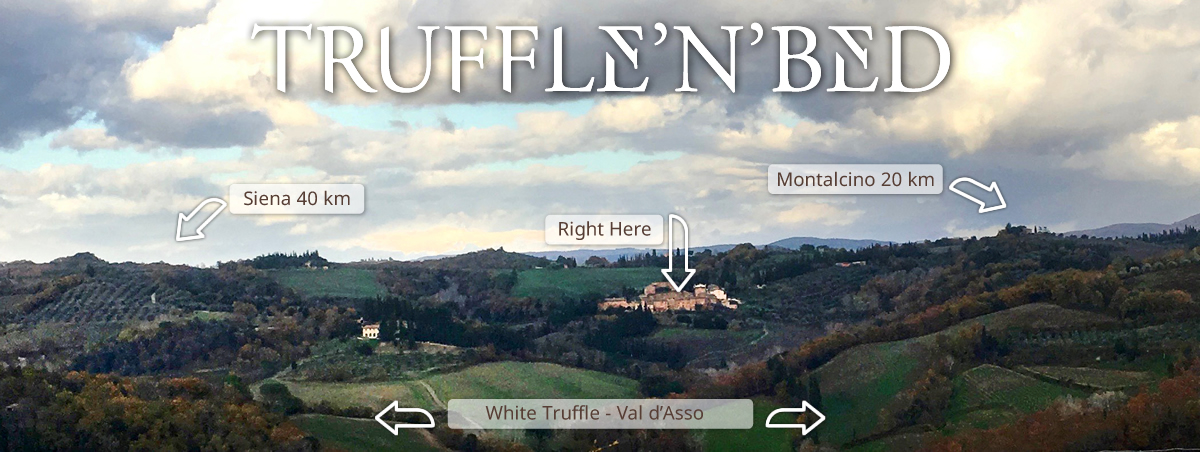 trufflenbed - bed and breakfast and supper club - Siena, Toscana, Italia